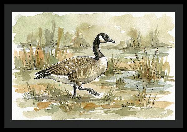 Goose Walking Through Marshland