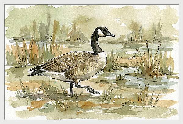 Goose Walking Through Marshland