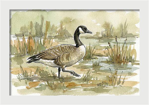 Goose Walking Through Marshland