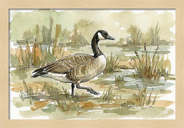 Goose Walking Through Marshland