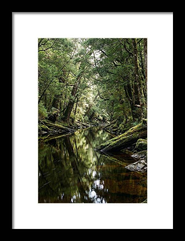 Gordon River Serenity