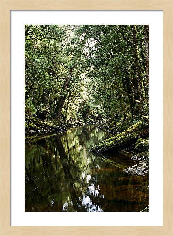Gordon River Serenity