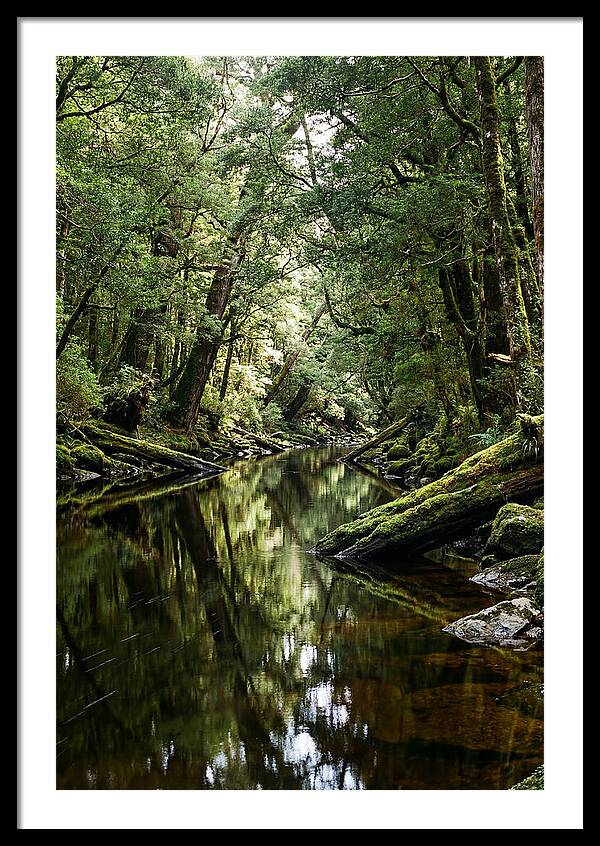 Gordon River Serenity