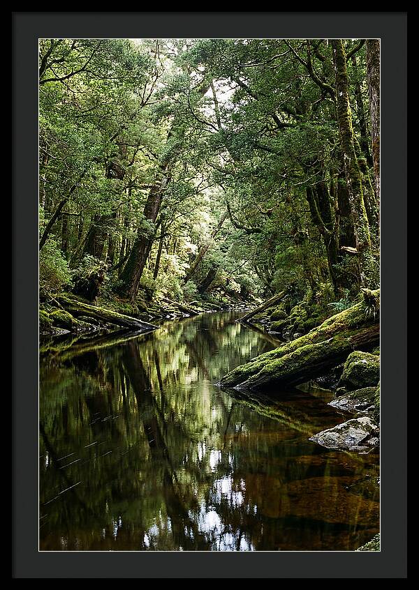 Gordon River Serenity