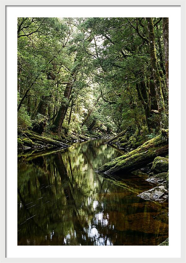 Gordon River Serenity