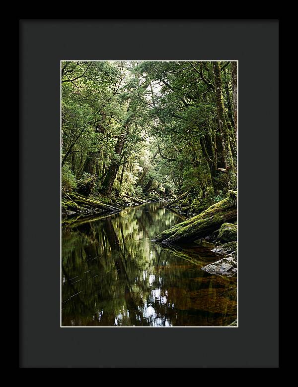 Gordon River Serenity