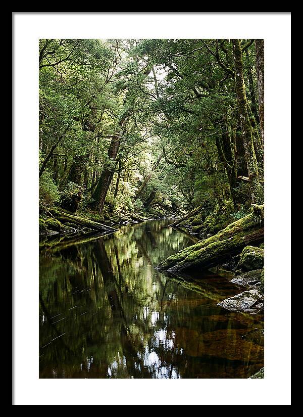Gordon River Serenity