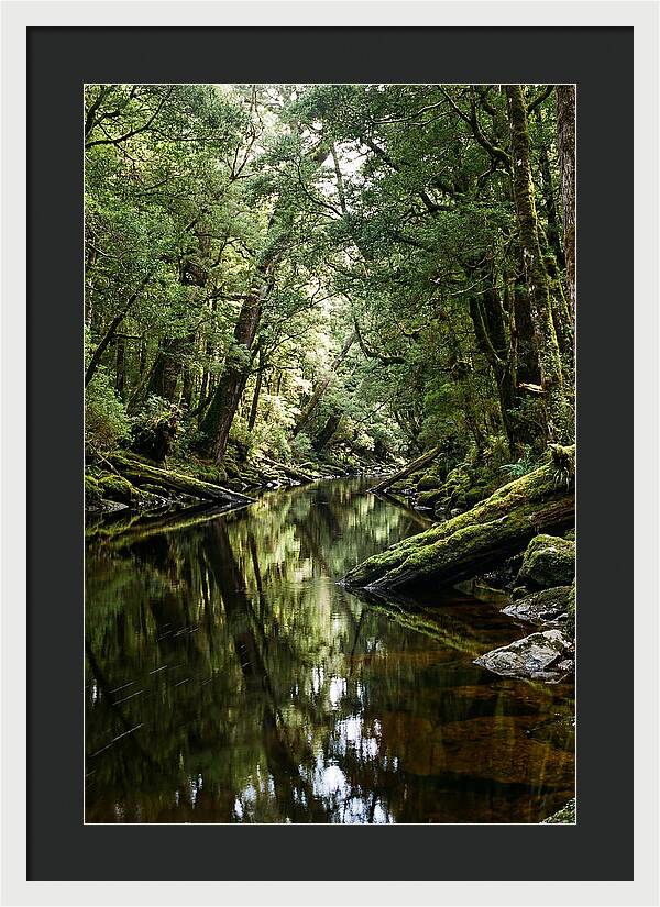 Gordon River Serenity