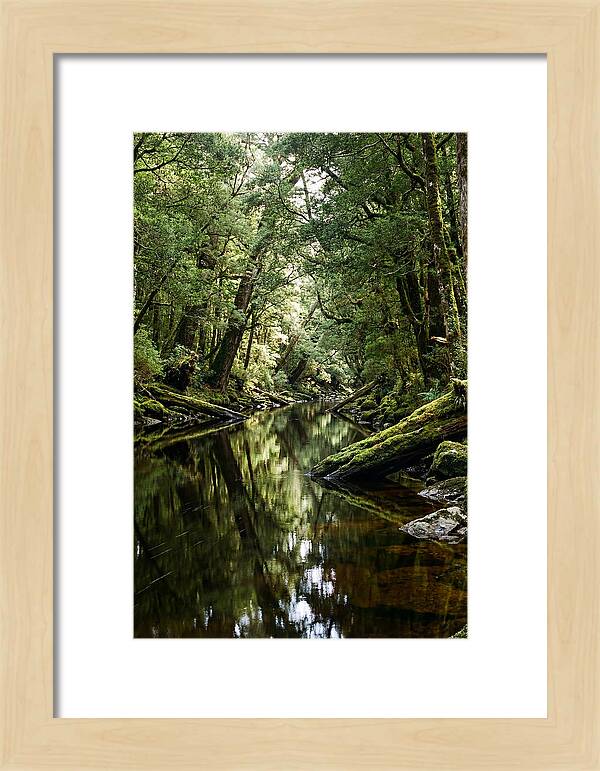 Gordon River Serenity