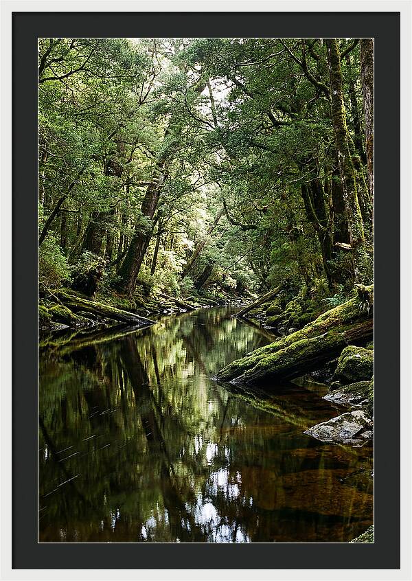 Gordon River Serenity