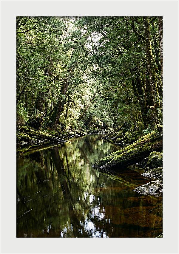 Gordon River Serenity