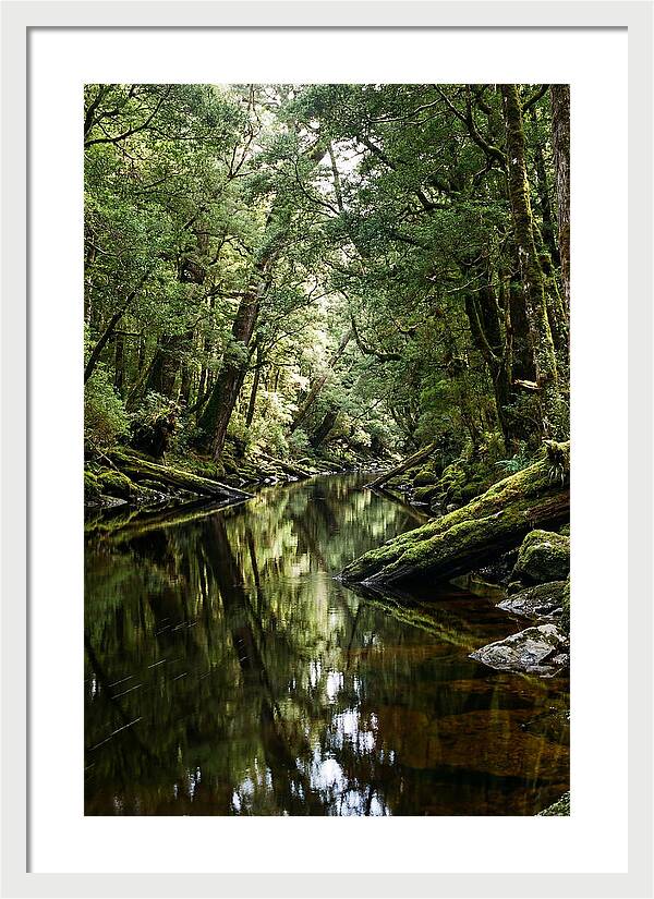 Gordon River Serenity