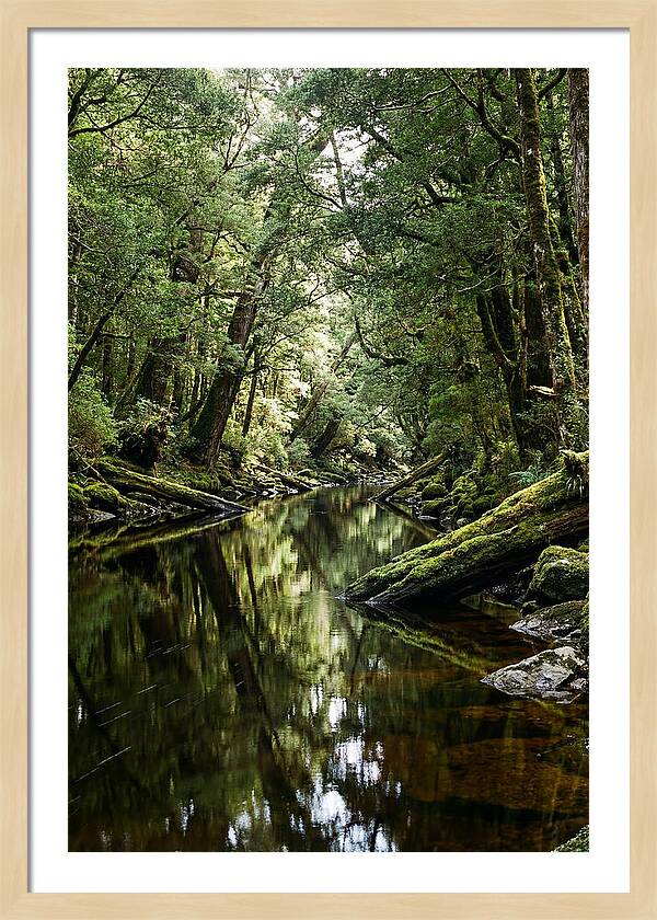 Gordon River Serenity