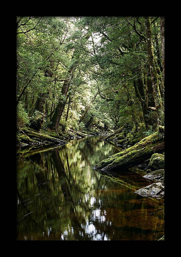 Gordon River Serenity