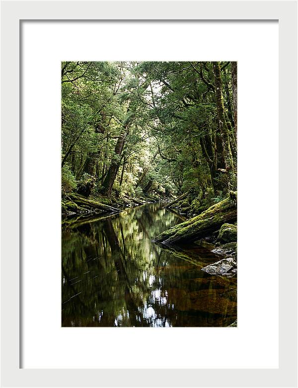 Gordon River Serenity