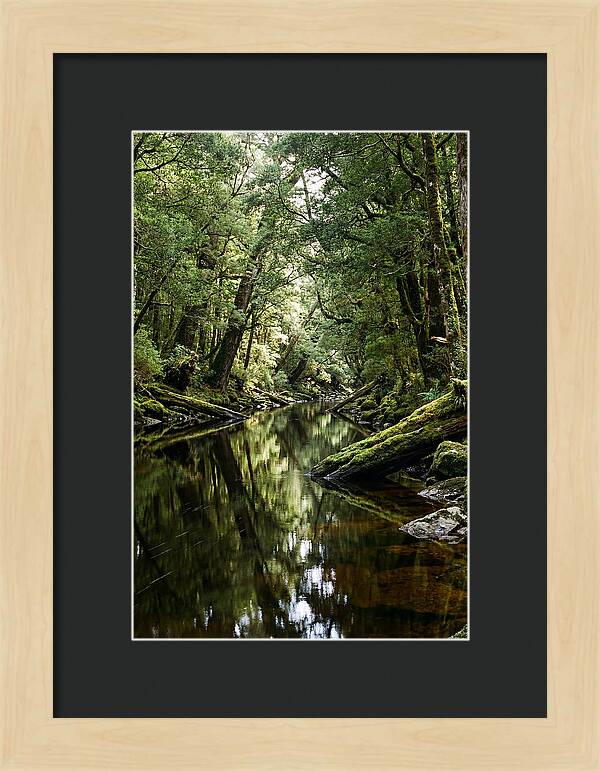 Gordon River Serenity