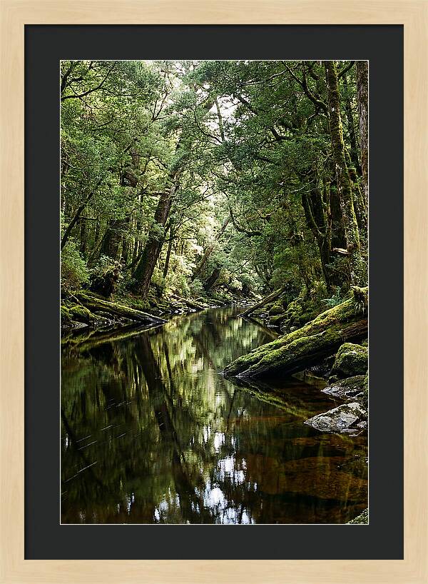 Gordon River Serenity