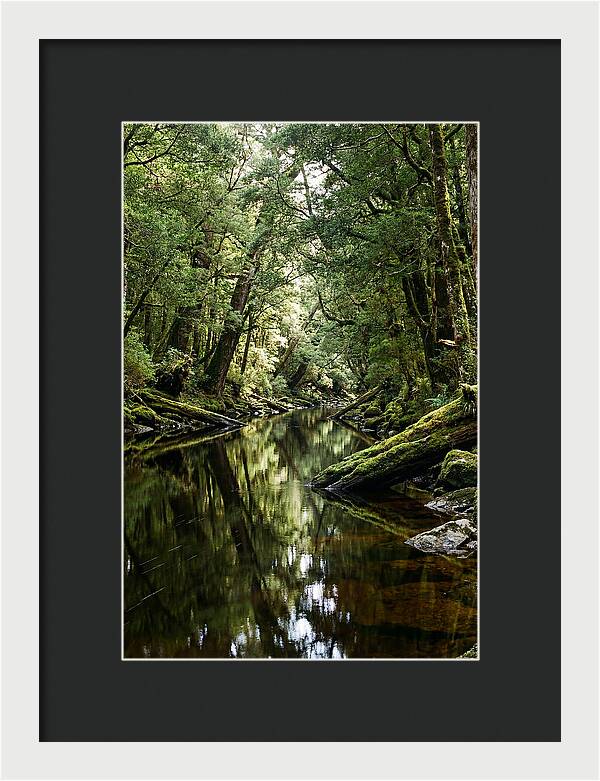Gordon River Serenity