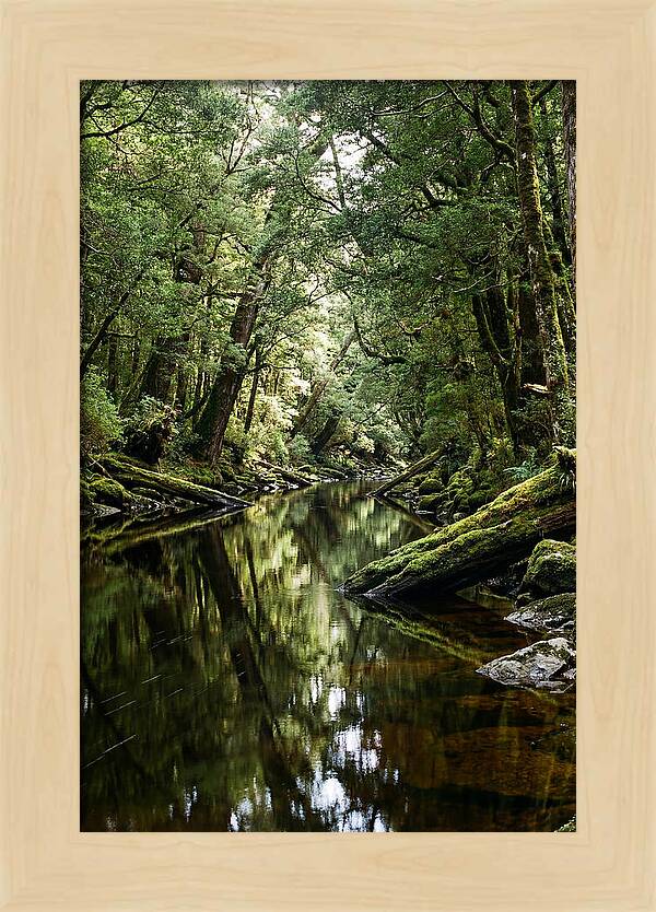 Gordon River Serenity
