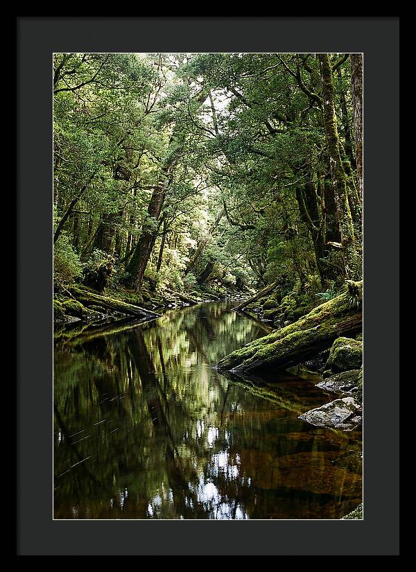 Gordon River Serenity