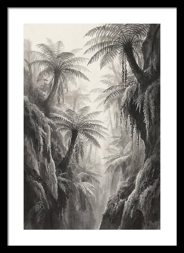Gorge With Primeval Tree Ferns