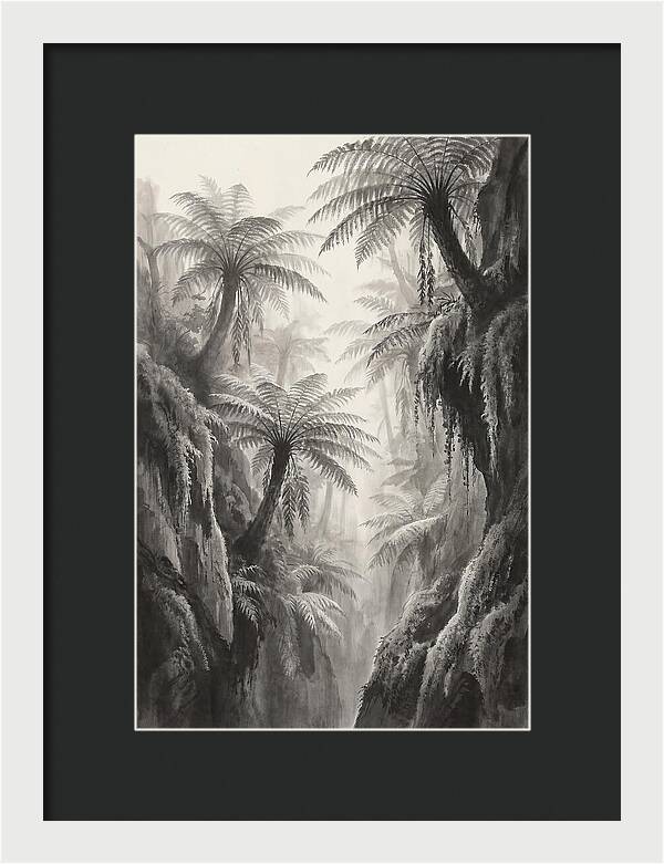Gorge With Primeval Tree Ferns