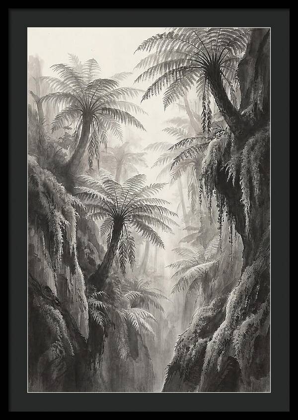 Gorge With Primeval Tree Ferns