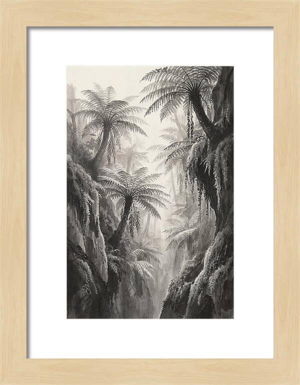 Gorge With Primeval Tree Ferns