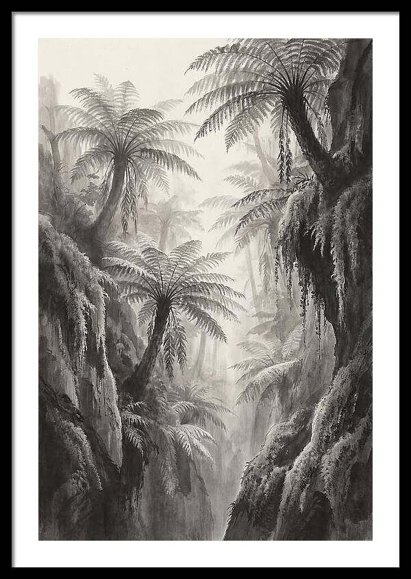 Gorge With Primeval Tree Ferns