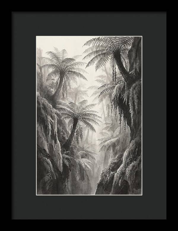 Gorge With Primeval Tree Ferns