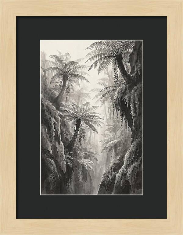 Gorge With Primeval Tree Ferns