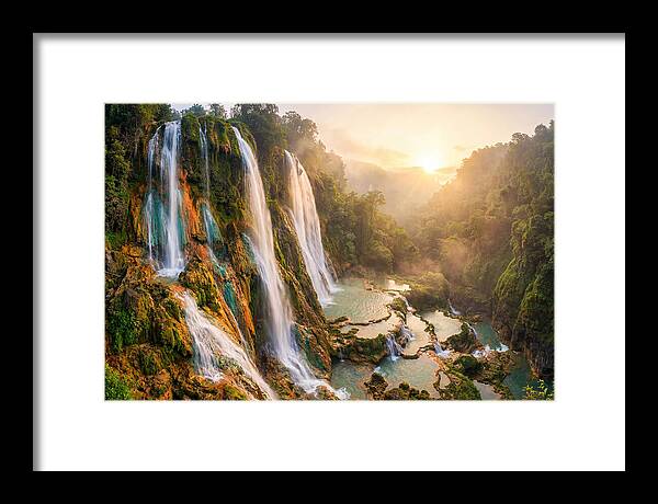 Gorman Falls Serenity