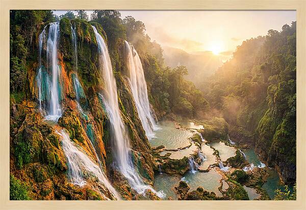 Gorman Falls Serenity