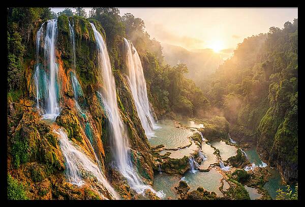 Gorman Falls Serenity