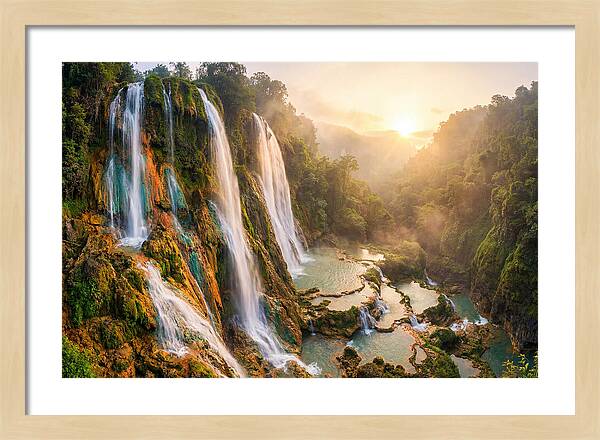 Gorman Falls Serenity
