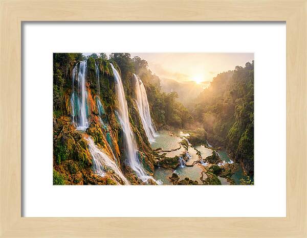 Gorman Falls Serenity