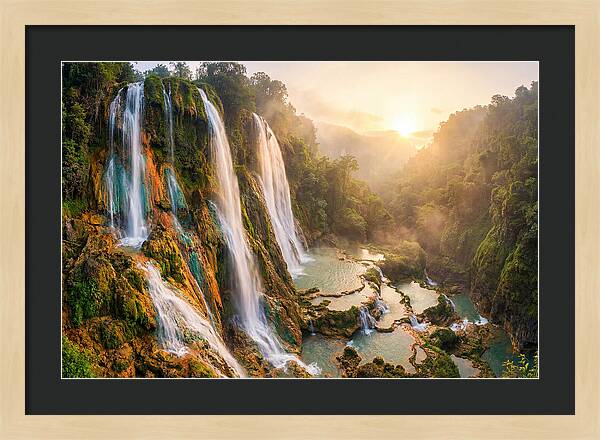 Gorman Falls Serenity