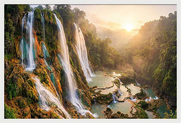 Gorman Falls Serenity