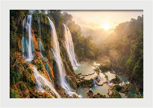 Gorman Falls Serenity