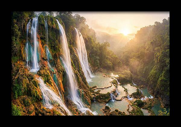 Gorman Falls Serenity