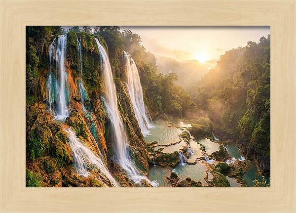 Gorman Falls Serenity