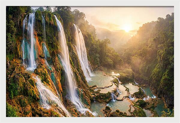 Gorman Falls Serenity