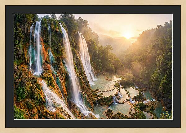 Gorman Falls Serenity