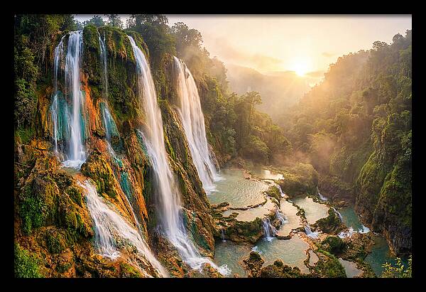 Gorman Falls Serenity