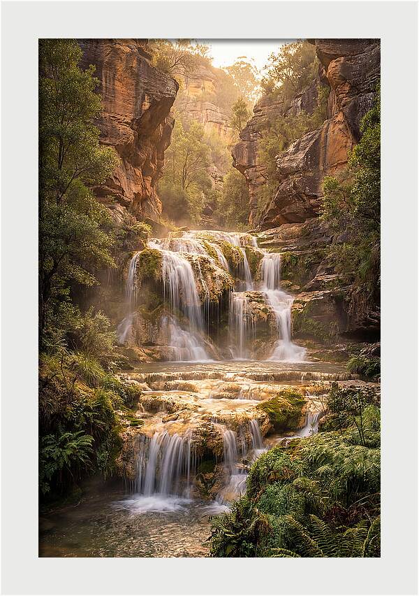 Gorman Falls Tranquility