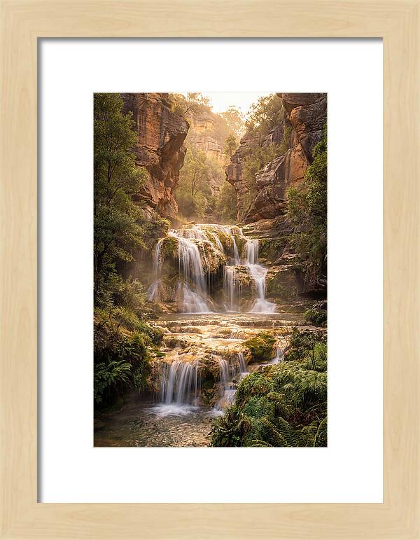 Gorman Falls Tranquility