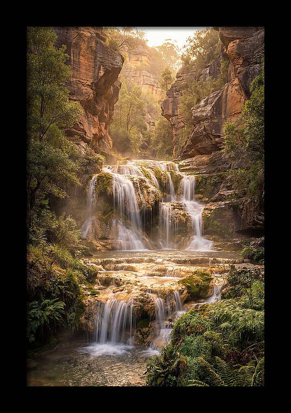 Gorman Falls Tranquility