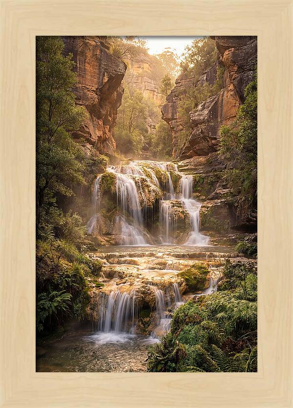 Gorman Falls Tranquility