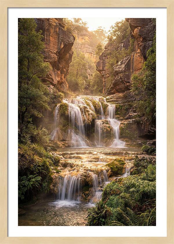 Gorman Falls Tranquility