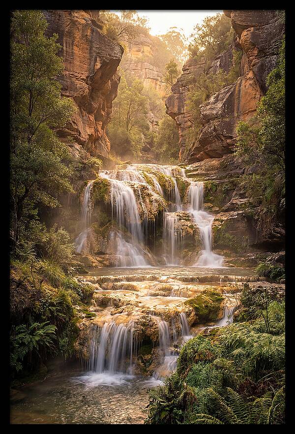 Gorman Falls Tranquility